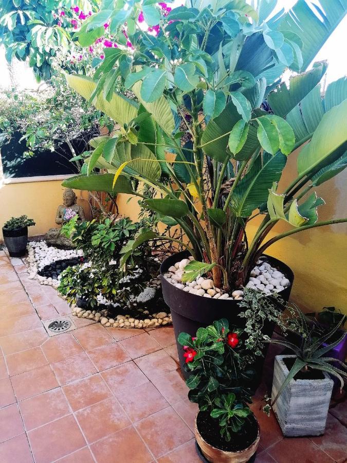 Vivienda Vacacional Vaiana Las Rosas  Eksteriør billede
